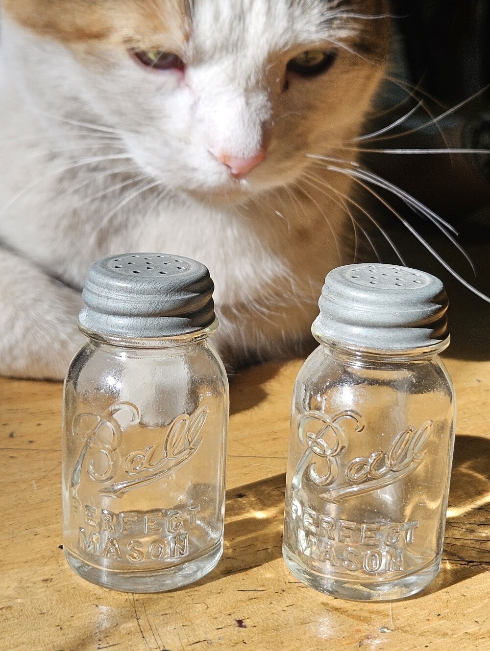 Vintage 1920 Ball Mason Salt & Pepper Shakers  Clear Glass with Silver Tops